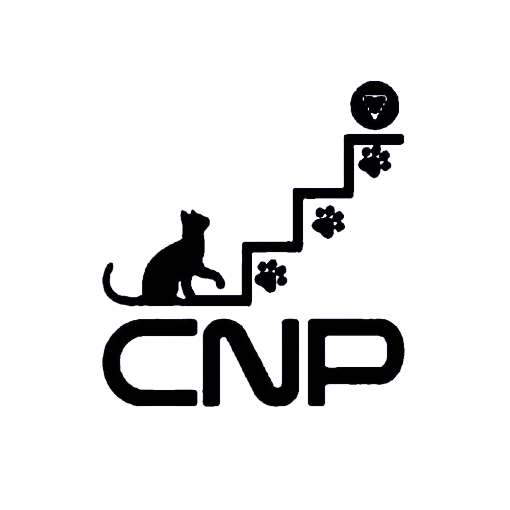 Catnip logo